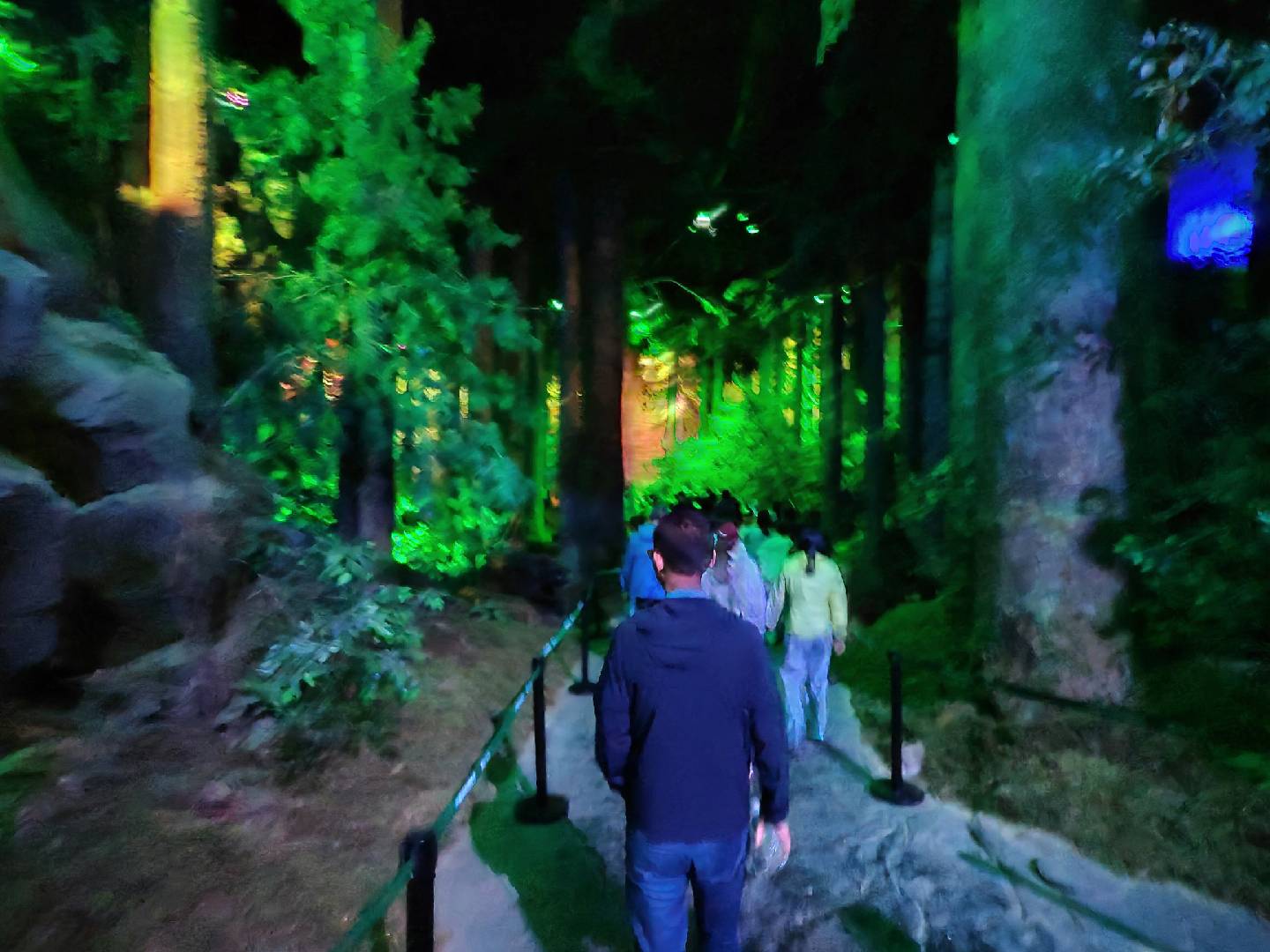 夜光森林灯光秀